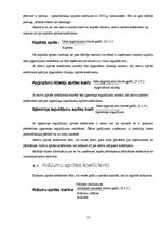 Referāts 'Finanšu analīzes rādītāji un šo rādītāju pielietošana uzņēmuma "X" analīzē', 13.