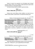 Referāts 'Finanšu analīzes rādītāji un šo rādītāju pielietošana uzņēmuma "X" analīzē', 14.