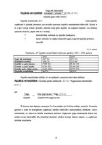 Referāts 'Finanšu analīzes rādītāji un šo rādītāju pielietošana uzņēmuma "X" analīzē', 18.