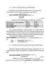 Referāts 'Finanšu analīzes rādītāji un šo rādītāju pielietošana uzņēmuma "X" analīzē', 19.