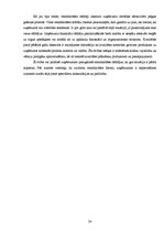 Referāts 'Finanšu analīzes rādītāji un šo rādītāju pielietošana uzņēmuma "X" analīzē', 24.