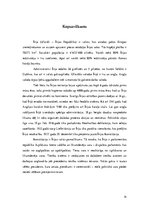 Referāts 'Īrijas konstitucionālās tiesības', 14.