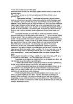 Eseja 'R.Blaumaņa novele "Raudupiete", Raudupietes raksturojums', 2.