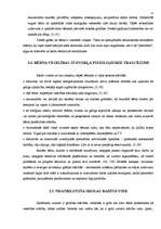 Referāts 'Nepietiekamu mācību rezultātu cēloņi un to novēršanas iespējas sākumskolā', 12.