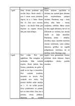 Konspekts 'Runas attīstības gaita', 2.