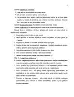 Konspekts 'Starptautiskā biznesa organizatoriskās formas', 3.