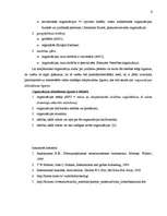 Konspekts 'Starptautiskā biznesa organizatoriskās formas', 6.