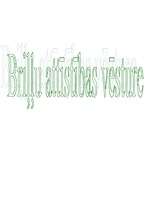 Referāts 'Briļļu vēsture', 7.