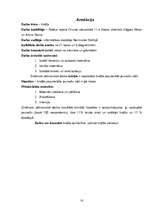 Referāts 'Sporta bridžs Latvijā 2005.gadā', 20.