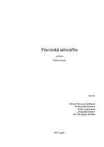 Referāts 'Pilsoniskā sabiedrība', 1.