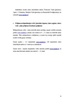 Referāts 'Ģimenes materiālais stāvoklis kā vienaudžu attiecību ietekmējošais faktors skolā', 6.