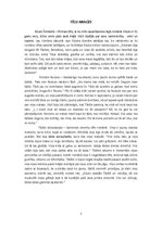 Referāts 'Jānis Klīdzējs "Sniegi"', 5.