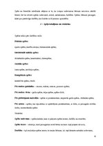 Referāts 'Rotaļu un spēļu izmantošana pedagoģiskajā procesā', 13.