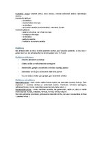 Konspekts 'Socioloģija', 5.