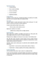 Konspekts 'Socioloģija', 11.