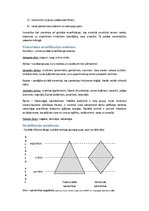 Konspekts 'Socioloģija', 13.