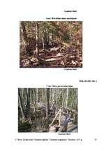 Referāts 'Dabas takas Vidzemes reģionā', 37.