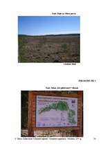 Referāts 'Dabas takas Vidzemes reģionā', 38.