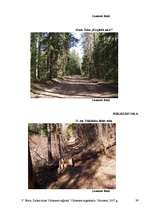 Referāts 'Dabas takas Vidzemes reģionā', 39.