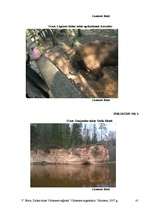 Referāts 'Dabas takas Vidzemes reģionā', 41.