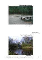 Referāts 'Dabas takas Vidzemes reģionā', 42.