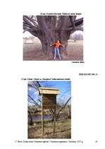 Referāts 'Dabas takas Vidzemes reģionā', 45.