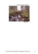 Referāts 'Dabas takas Vidzemes reģionā', 48.