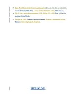 Diplomdarbs 'Viļa Lāča reprezentācija latviešu presē', 73.