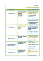 Diplomdarbs 'Viļa Lāča reprezentācija latviešu presē', 74.