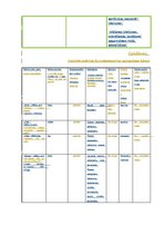 Diplomdarbs 'Viļa Lāča reprezentācija latviešu presē', 75.