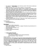 Konspekts 'International Criminal Law', 12.