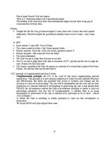 Konspekts 'International Criminal Law', 22.