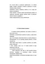 Referāts 'Ēdināšanas uzņēmuma tīrīšanas programma', 14.