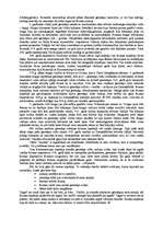 Eseja 'Ziņojums par Romas impērijas sabrukumu', 2.