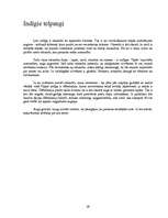 Referāts 'Telpaugi', 16.