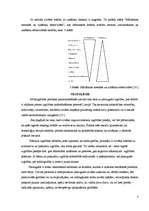 Referāts 'Pieaugušo izglītība', 7.