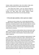 Prakses atskaite 'A/s "Reklāmdruka"', 5.