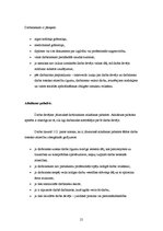 Prakses atskaite 'A/s "Reklāmdruka"', 19.