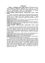 Konspekts 'Dažādas mazpazīstamas sēnes', 4.