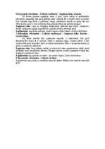 Konspekts 'Dažādas mazpazīstamas sēnes', 6.