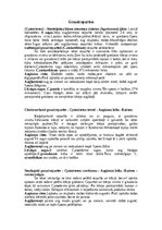 Konspekts 'Dažādas mazpazīstamas sēnes', 14.