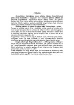 Konspekts 'Dažādas mazpazīstamas sēnes', 15.