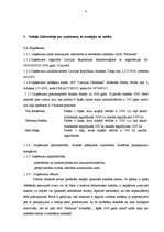 Biznesa plāns 'SIA "Možums"', 4.