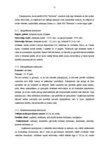 Biznesa plāns 'SIA "Možums"', 12.