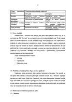 Biznesa plāns 'SIA "Možums"', 15.