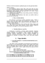 Referāts 'Stratēģiskās attīstības plāns uzņēmumam "Vinda"', 9.