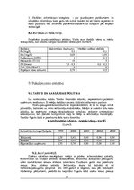 Referāts 'Stratēģiskās attīstības plāns uzņēmumam "Vinda"', 17.