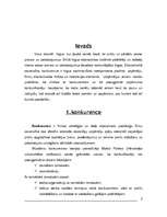 Referāts 'Konkurence', 2.