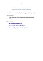 Referāts 'Starpkultūru komunikācija - Slovākija', 9.