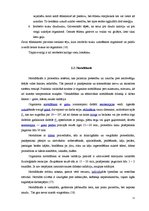 Referāts 'Veselības veicināšanai izvēlētās fiziskās aktivitātes praktizējošo māsu vidū', 11.